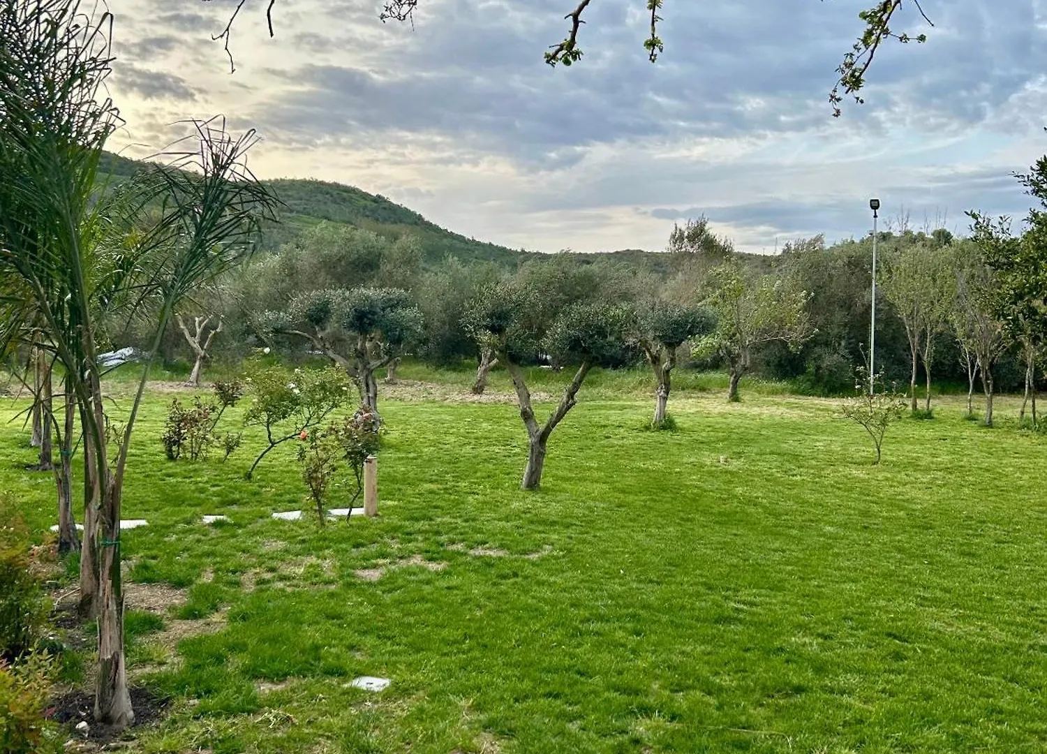 Vila Shehu Zverneci