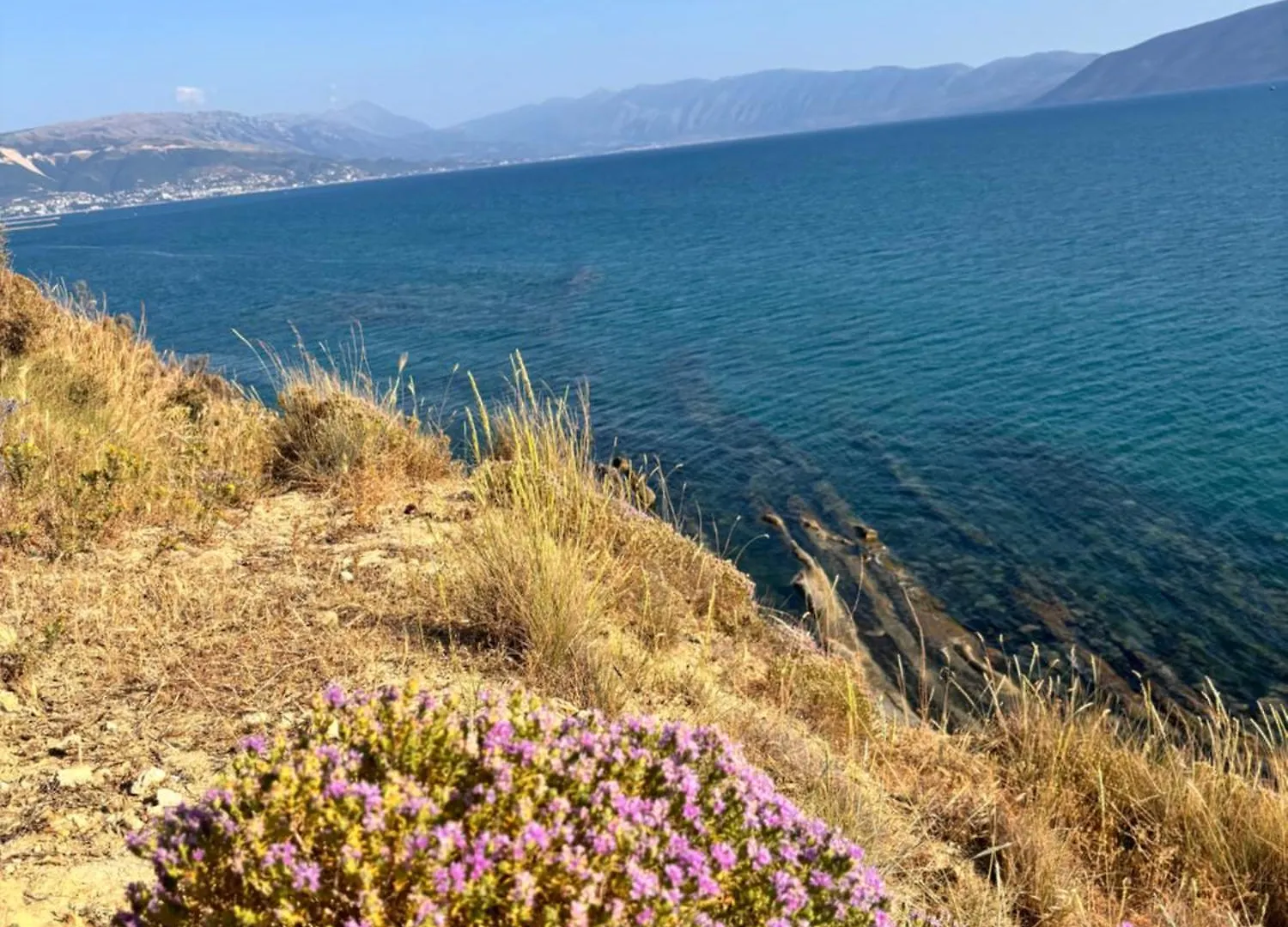 Lägenhet Vila Shehu Zverneci Albanien